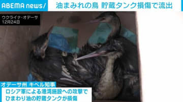 ロシア軍の攻撃を受けた貯蔵タンクから油流出 飛べなくなった鳥たちを動物園が救護 ウクライナ