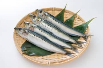 心身の不調を抱えやすい冬におすすめ！健康習慣に取り入れたい「フィッシュオイル」の活用法