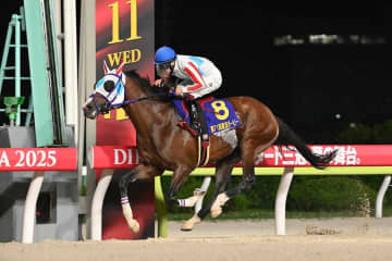 「まさかの1枠1番」　発表された枠順に呆然「遂に引いちゃった…」　東京大賞典に悩むファン