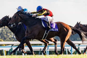 【有馬記念】連覇かかるレガレイラは484kg…出走馬の調教後の馬体重