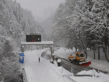 【国道29号】戸倉峠 若桜町内で電柱倒壊 8時間半強ぶり通行止め解除（26日19:30現在）