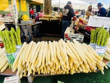 ドイツの春の料理といえばシュパーゲル！旅人・低橋さんが楽しむ旬の食材とローカルフード【世界思い出旅ごはん おかわり】