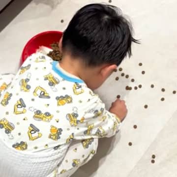 犬のごはんを落としてしまった男の子→必死に拾う後ろで、犬がこっそり…あまりにも尊い『ふたりの様子』が話題「優しすぎて泣ける」と33万再生