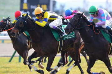 ソーダズリングが引退、繁殖入り