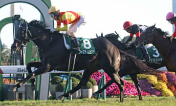 【ホープフルS】ジャスティンビスタは516kg…出走馬の調教後の馬体重