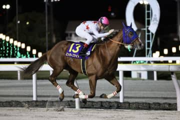 【東京大賞典】ミッキーファイトは7枠13番へ…暮れの大一番に豪華メンバー集結