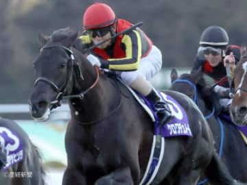 【ホープフルS】素直に①人気を軸に据えたい！3連単を的中させる軸馬の狙い方