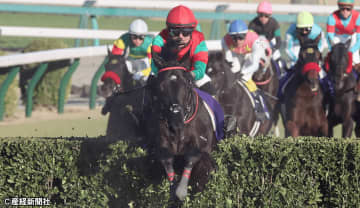 【中山大障害】当日の馬体重を注視したい、過去10年の傾向から見えてくる「買えない馬」とは