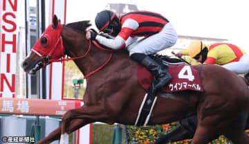 【阪神カップ】年齢高めは厳しいか？ 過去10年の傾向から見えてくる”買えない馬”とは