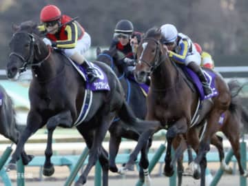 【ホープフルS】前走が東京、かつ1800Ｍ以上の馬を狙いたい！3連単を的中させる相手馬の狙い方