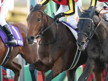 【有馬記念】騎手で買うならルメールと武豊！その他の軸候補は？3連単を的中させる軸馬の狙い方