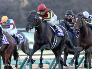 【ホープフルS】①人気でも疑う必要あり！買ってはいけない馬券とは！？