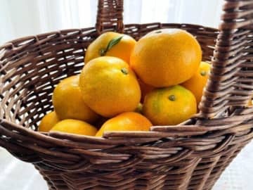 ヘタが緑色vs黄色、どっちのみかんが甘い？外見だけでみかんを見わける方法を野菜ソムリエが解説