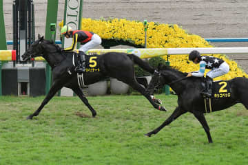 【ホープフルS】バドリナート親仔制覇へ コントレイル産駒初のGI勝利なるか