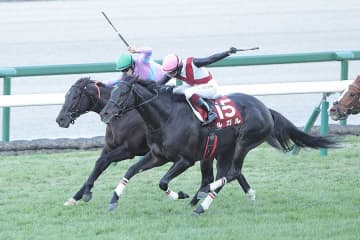「G1みたい」　“スーパーG2”のハナ差超激戦にファン衝撃　電撃王が「マジで復活しちゃった」