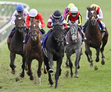 競馬、ロブチェンが重賞初制覇　G1のホープフルS、7番人気