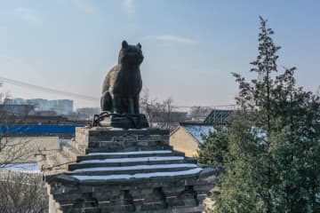 中国の歴史ある建物を飾る動物が担う重い責任とは？―中国メディア