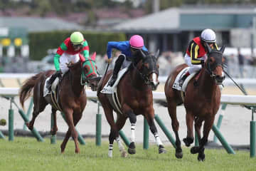 有馬記念、前日オッズで超異変「しこたま売れてる」　表示された「1075」の謎…衝撃の理由とは