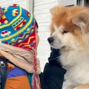 雪の中、小学校へ行く男の子を見送る秋田犬→小窓から見せた『いってらっしゃい』が尊すぎると絶賛「AIかと疑うレベル」「最高すぎ」と9万再生