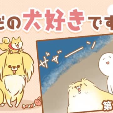 ただの犬好きです。【第342話】「どうして今」