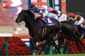 【ホープフルS】1戦1勝馬ロブチェンが鮮やかな差し切り