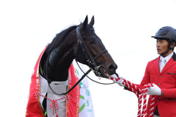 【ホープフルS】松山「届いてくれという気持ちでした」ロブチェンがデビュー2連勝で戴冠