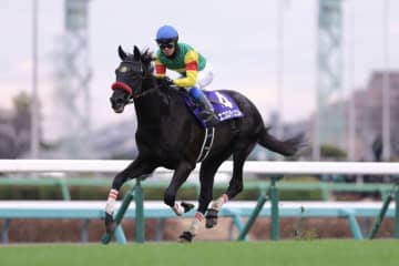 【中山大障害】断然人気エコロデュエルが春秋障害G1制覇