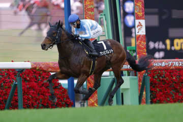 【ベストウィッシュC】3連単は318万円超の波乱…アンビバレントが4馬身差V