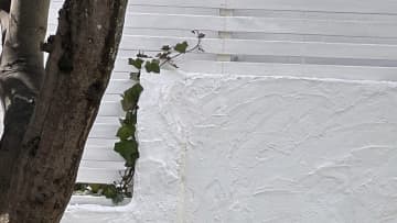 楠偉音｜揺れる余韻