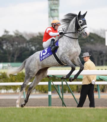 ゴールドシップ まるで怪獣！？ 出遅れ、爆走、ロングスパート... 破天荒な走りが心を掴む【思い出に残る有馬記念】