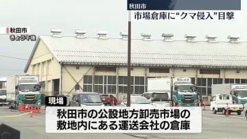 市場倉庫にクマ…とどまり続ける　秋田市