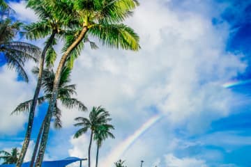 初めての海外旅行におすすめの国は？ 女性が安心しやすい行き先を比較