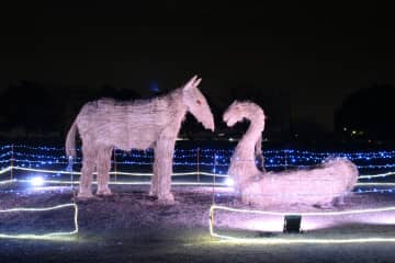 【行田】古代蓮の里で輝くイルミネーション＆干支のわらアートも登場！