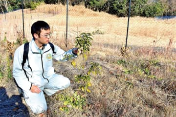 31種の新たな苗木育む　天皇陛下がお手植え　歴史刻む　66年ぶり2回目の県内開催　埼玉・秩父で全国植樹祭