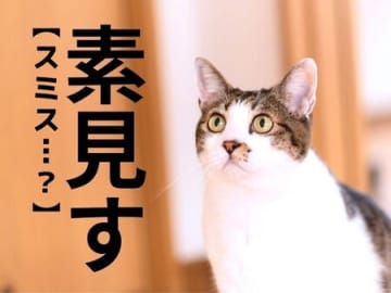【素見す】なんて読む？「すみす」ではありませんよ！【読めそうで読めない漢字クイズ】