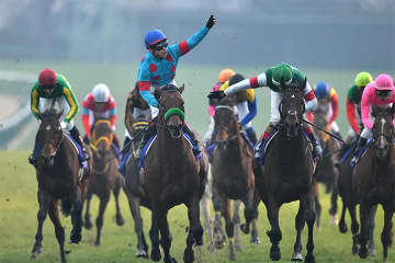 ブラストワンピース 馬術競技でも大活躍中の「重戦車」ブラピはヤンチャで人懐っこい【もうひとつの引退馬伝説2】