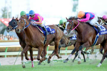テイエムオペラオー 世紀末の日本競馬界を締めくくった覇王【思い出に残る有馬記念】