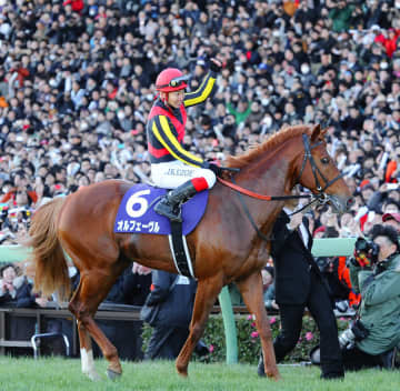 オルフェーヴル 暴君の成長 あまりに美しすぎる金色の馬のラストラン【思い出に残る有馬記念】