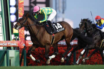 【グレイトフルS】14番枠ミクニインスパイアが人気に応える