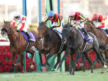 【有馬記念】かつては猛威を振るったが…直近は全く結果が出ていない買ってはいけない馬券とは！？