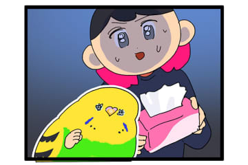 飼い主のくしゃみに合いの手！花粉症のくしゃみ待ちをするカチョリエル【鳥マンガ #176】