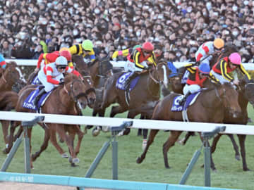 【有馬記念】狙うなら実績重視が正解！サラキア以外は全滅している買ってはいけない馬券とは！？