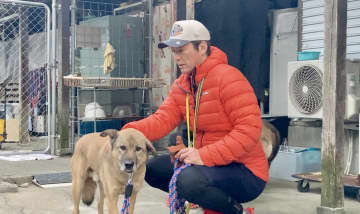 長嶋一茂が“お散歩ボランティア”で人間との散歩が苦手な保護犬たちと交流　わずかな動きから性格を見抜き、心に寄り添う散歩を見せる