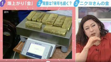 ❻ 金運UP イワヒバ 首長最上株物 超多株２０多幹３０年以上物 ➅ 金運UP イワヒバ 首長最上株物 超多株20多幹30