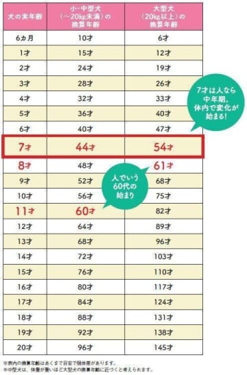 犬は「7才からシニア」といわれているけれど実際は？“今どき”の犬のシニア事情