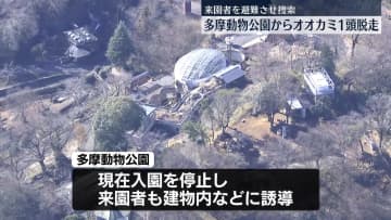 【速報】多摩動物公園でオオカミ1頭脱走　来園者を避難させ捜索　東京・日野市