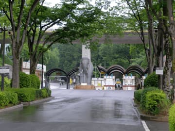 多摩動物公園が緊急事態「園内にオオカミが脱走しています」ネット騒然