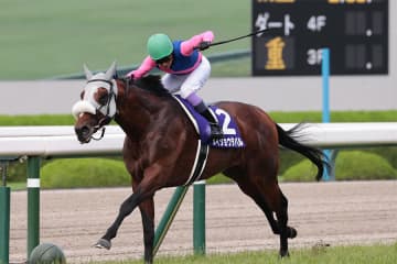 【有馬記念】ファン投票1位・メイショウタバル 春秋グランプリ制覇へ！天国の先代オーナーに勝利のプレゼントを