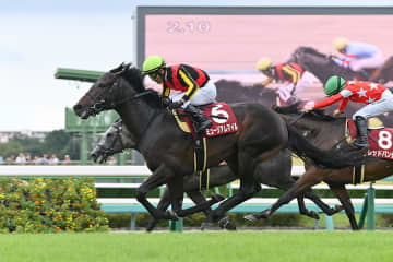 【有馬記念】世代交代を狙う！今年の皐月賞馬・ミュージアムマイルが虎視眈々！距離克服なるか