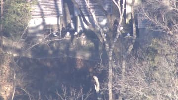 多摩動物公園で脱走していたオオカミ1頭を捕獲、28日は臨時休園に